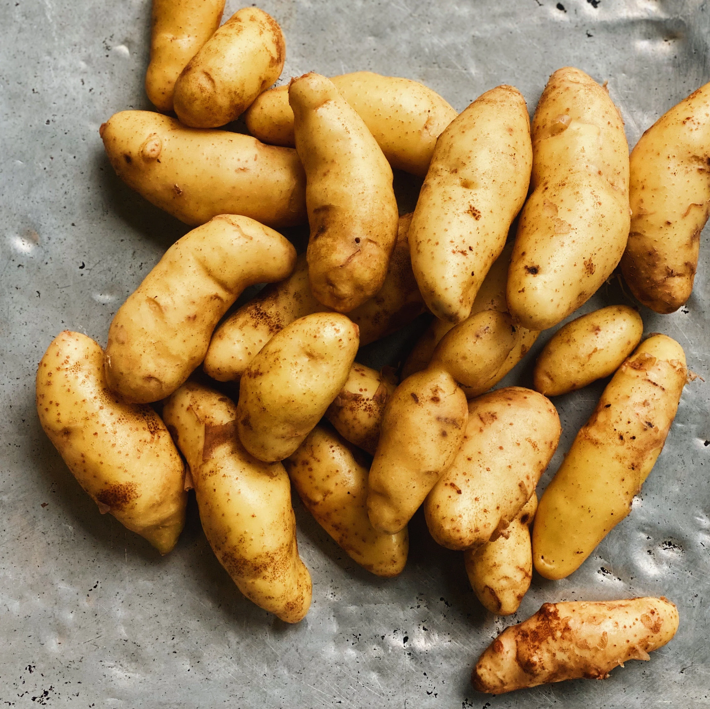 North Arm Farm BC Grown Fingerling Potatoes