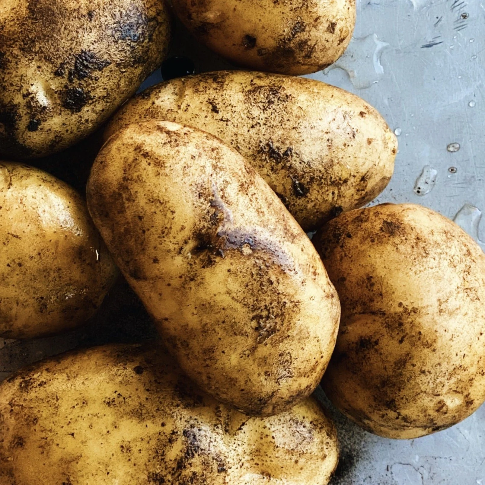 North Arm Farm BC Grown Kennebec Potatoes