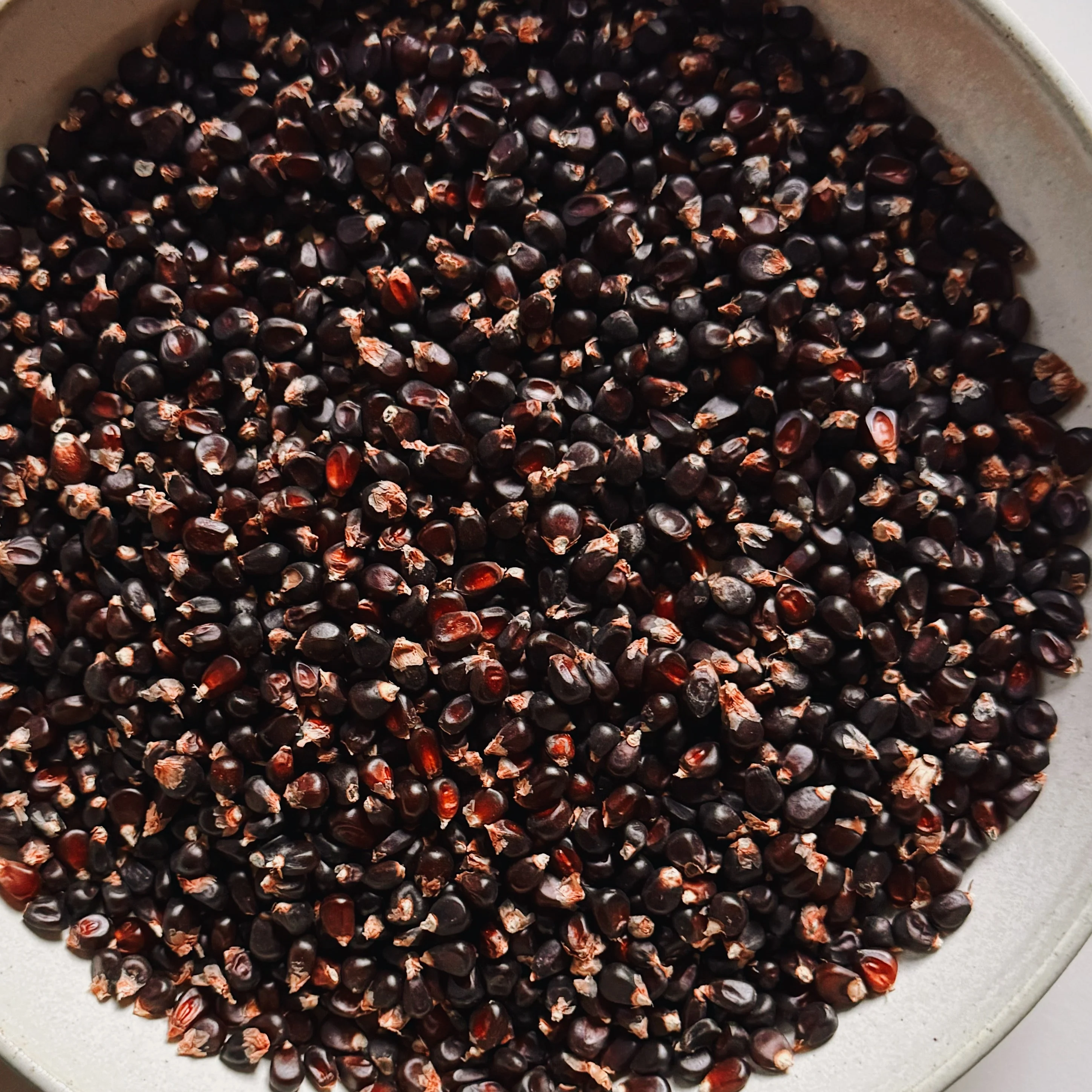 Athiana Acres Organic Black Popcorn