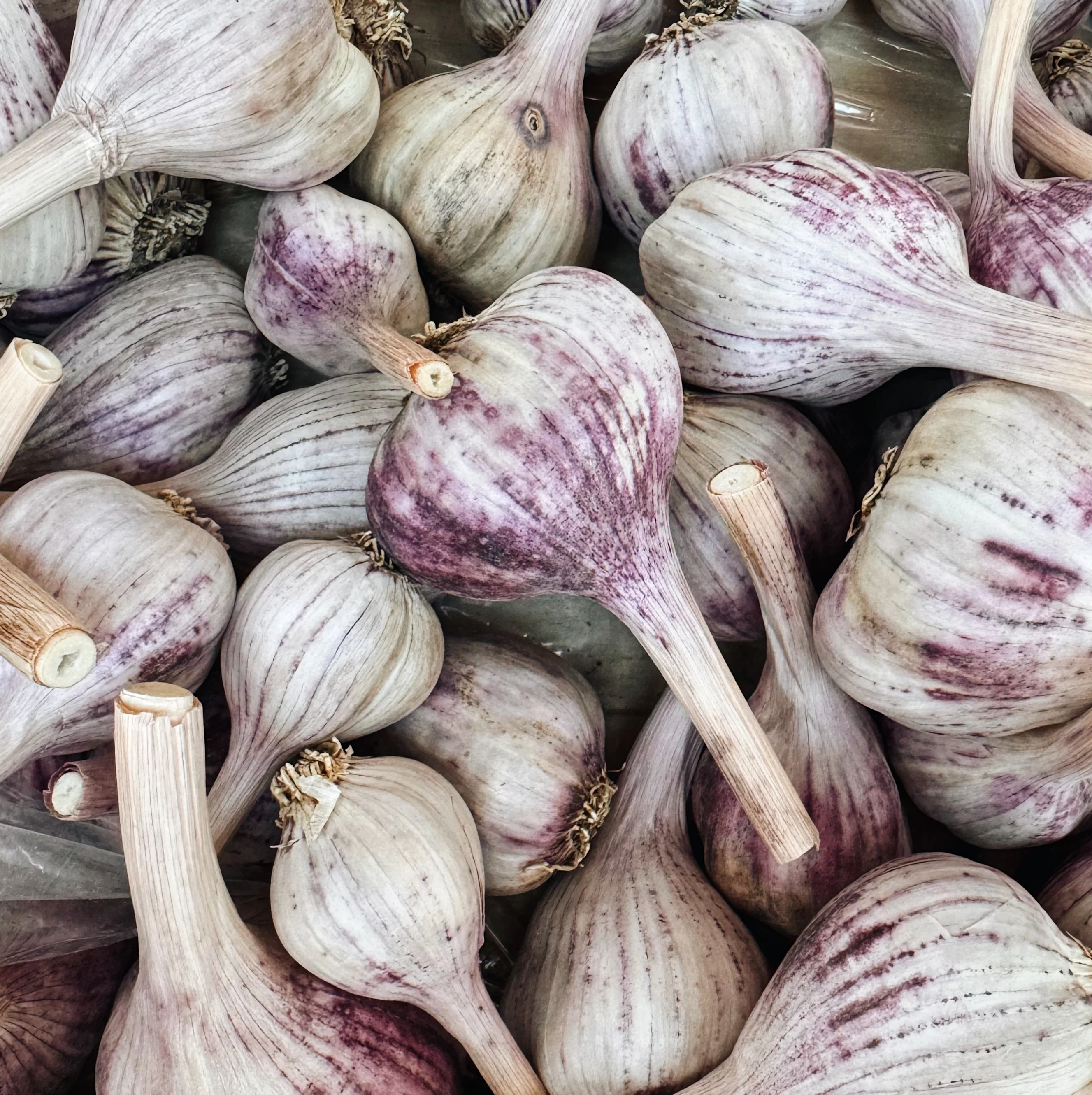 Klippers Organics BC Grown Dried Garlic