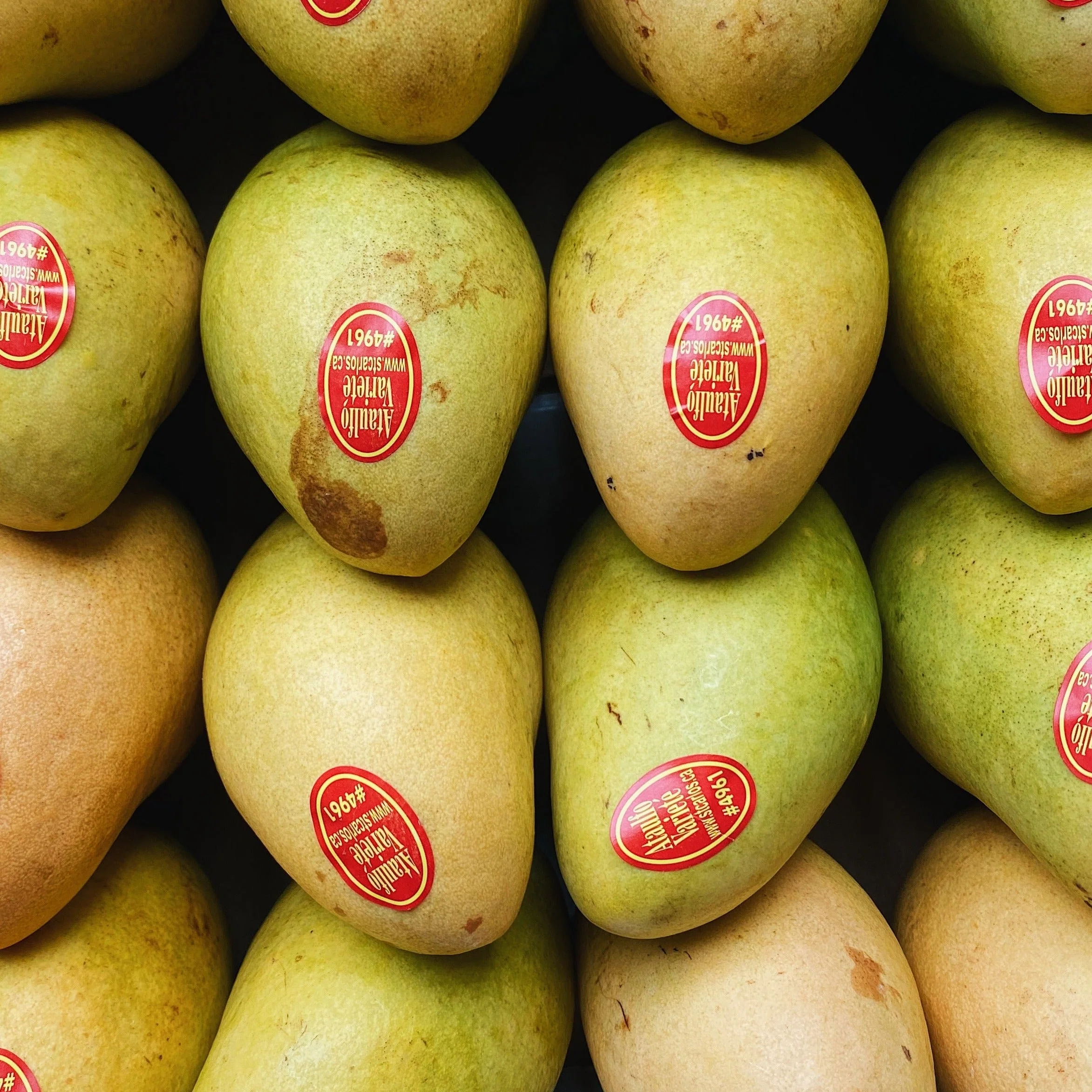 Premium Ataulfo Mangoes - Image 2