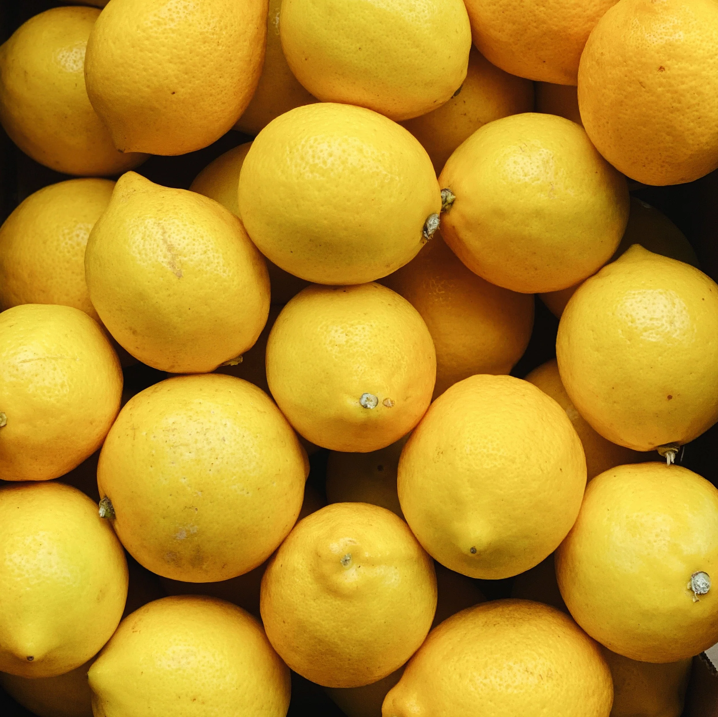 Organic Meyer Lemons