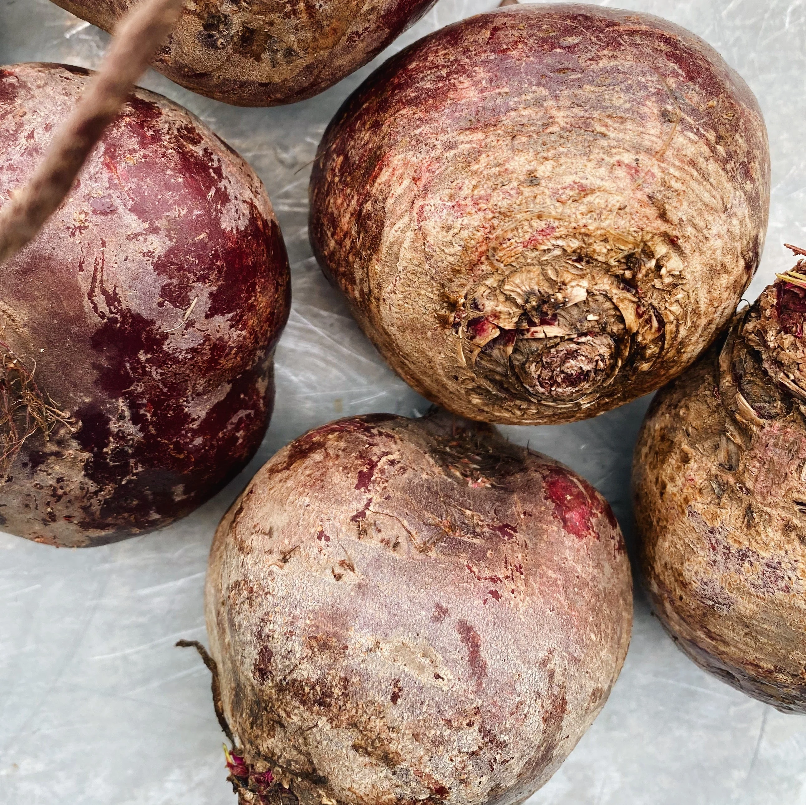 North Arm Farm BC Grown Red Ace Beets