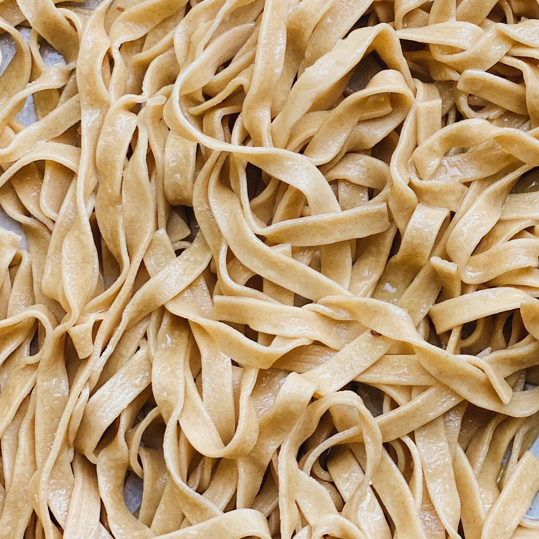 Organic Durum '00' Flour - Image 4