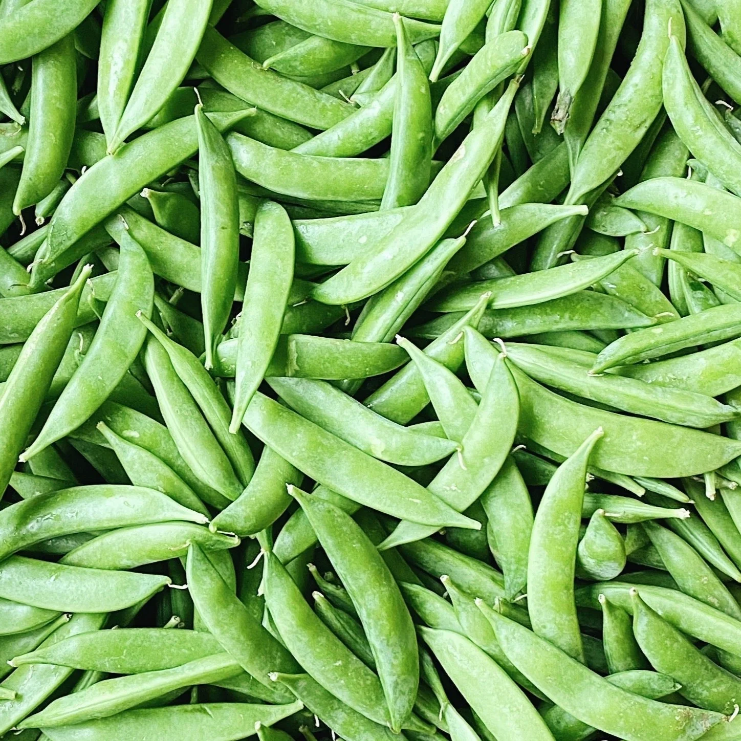 Premium Organic Sugar Snap Peas