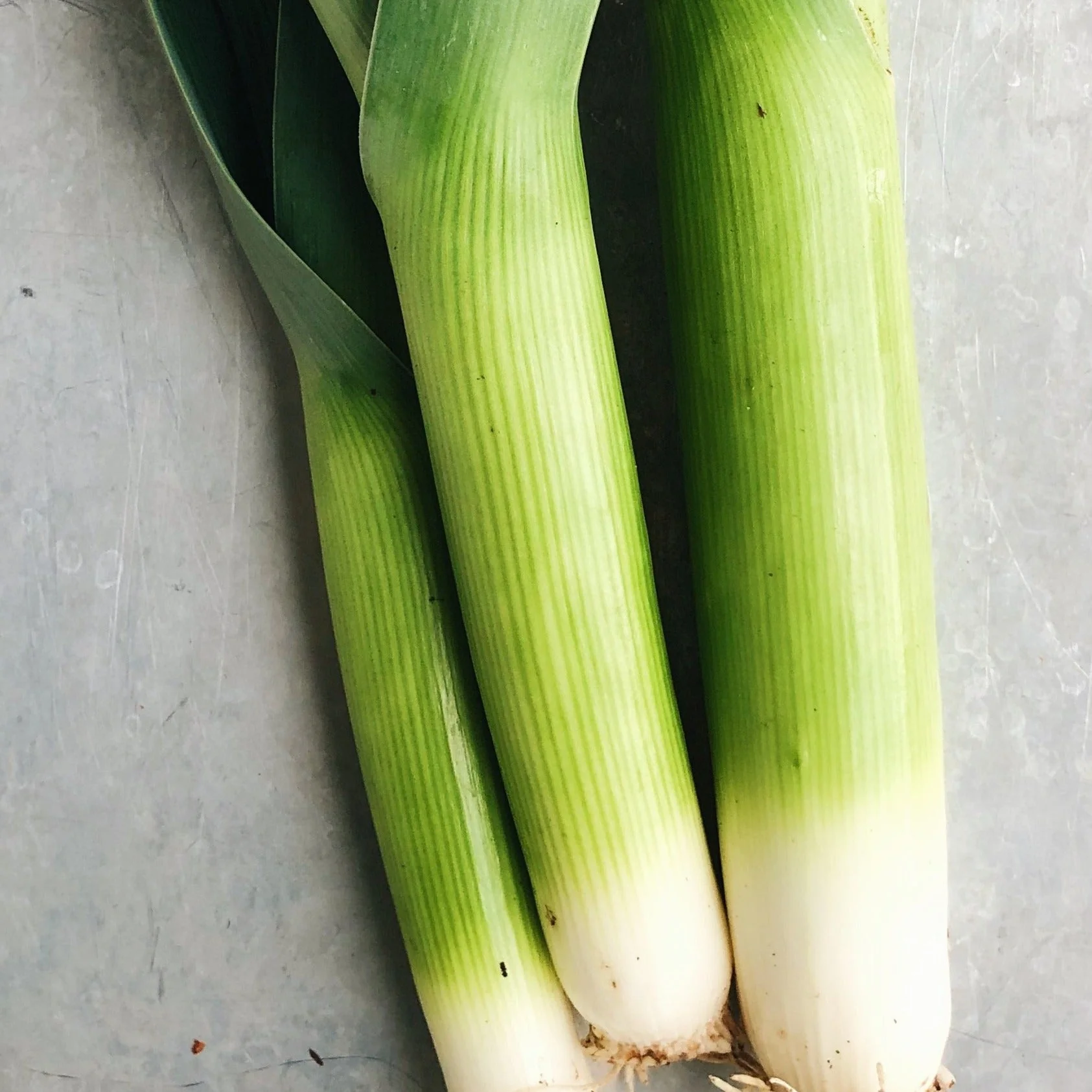 Premium Organic Leeks