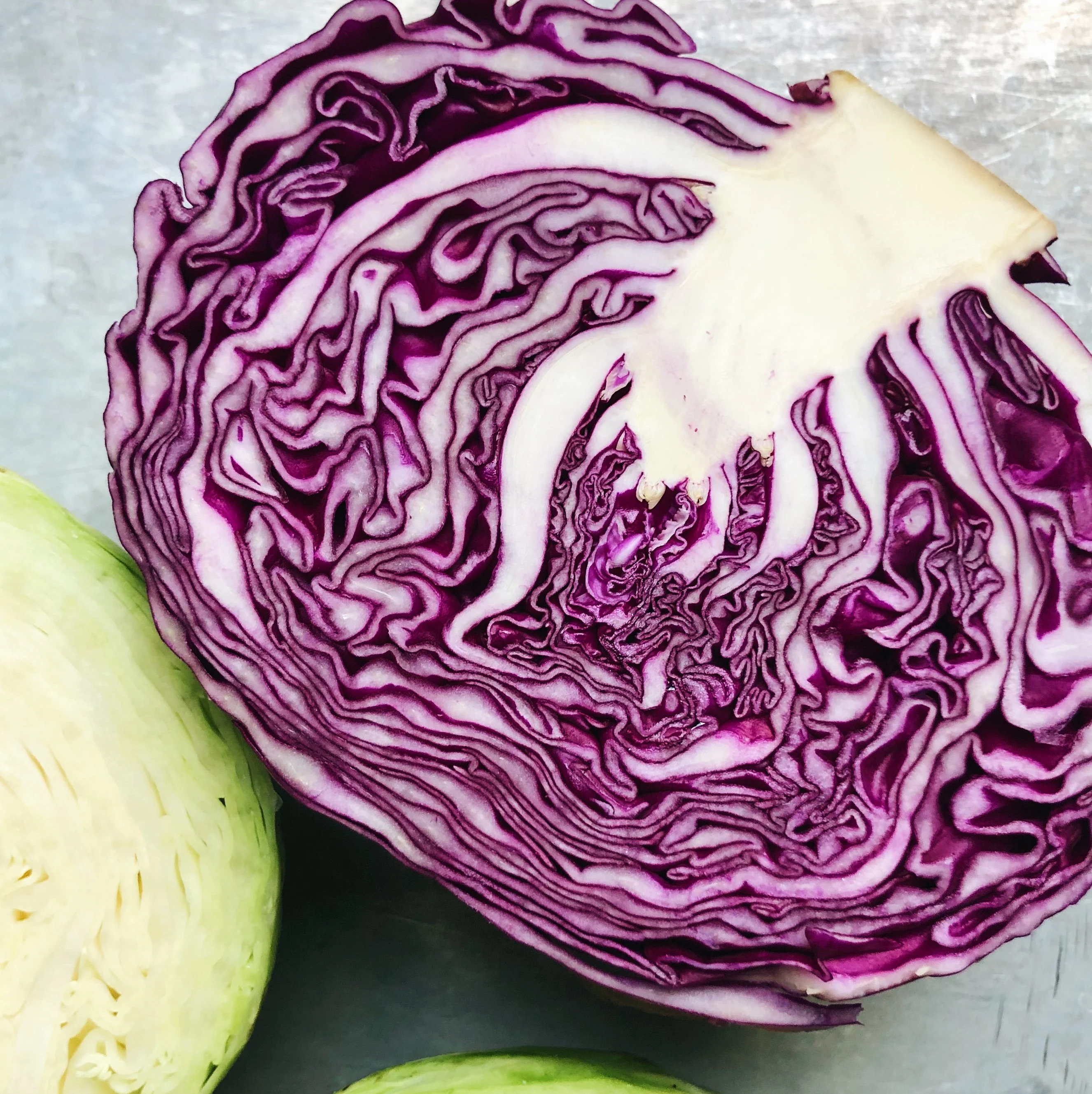 BC-Grown Organic Red Cabbage
