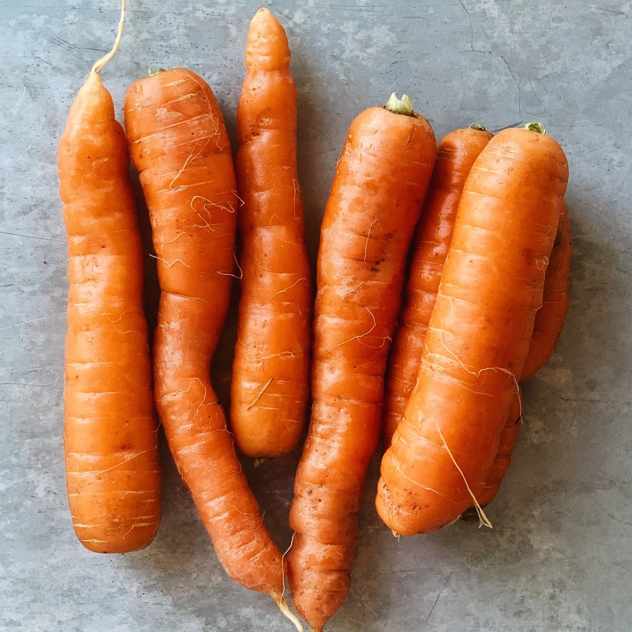 North Arm Farm BC Grown Carrots - Image 2